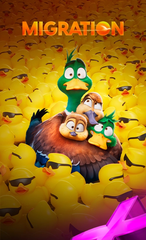 05092024 OSN Plus Card D.webp